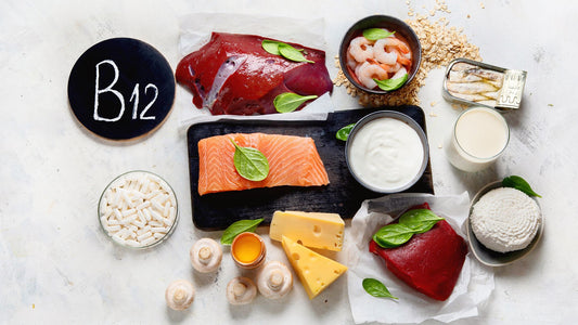 10 Best Vitamin B12 Foods