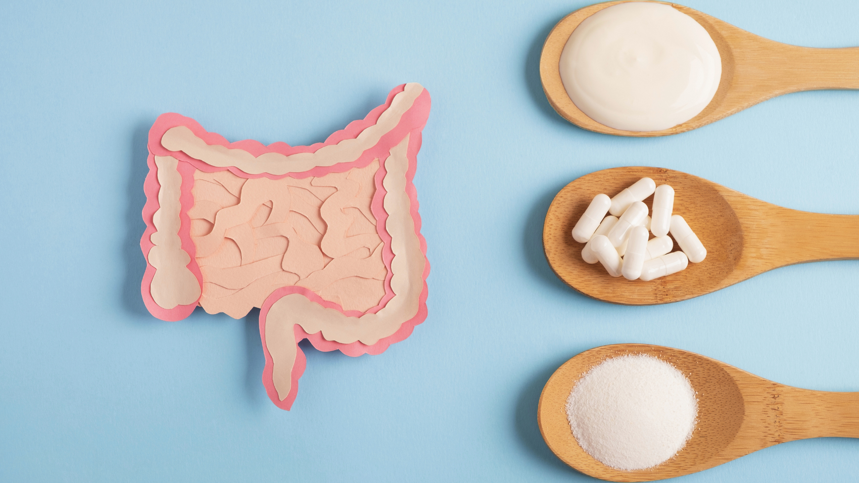 What Are Prebiotics and Probiotics: Understanding the Key Differences and How They Do Work?