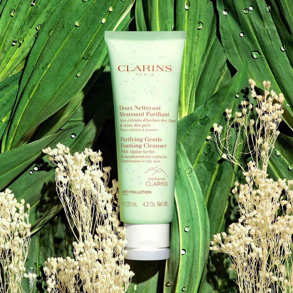 Clarins Purifying Gentle Foaming Cleanser