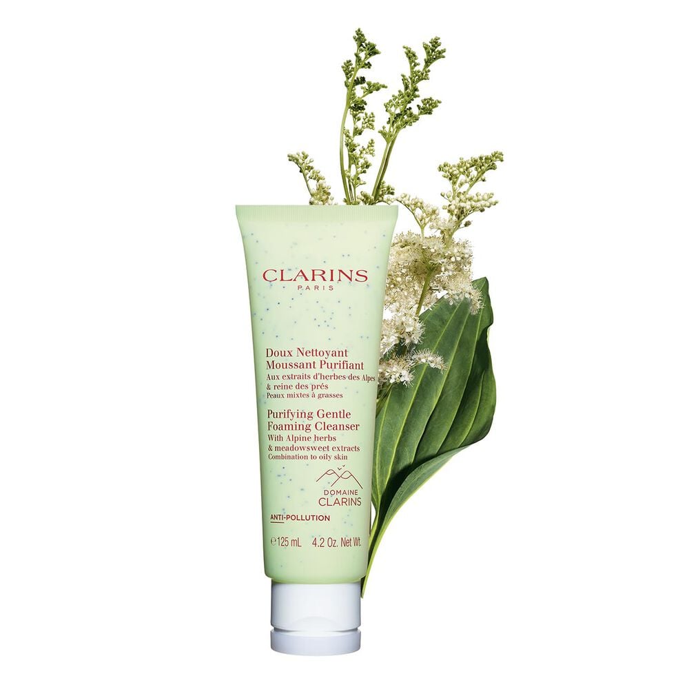 Clarins Purifying Gentle Foaming Cleanser