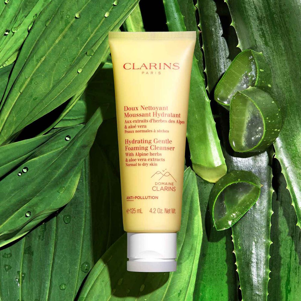 Clarins Hydrating Gentle Foaming Cleanser