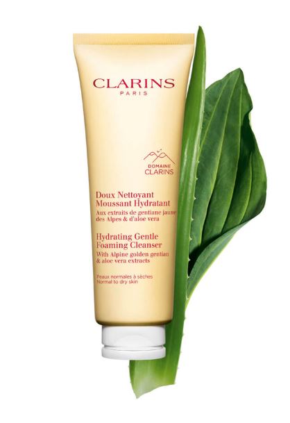 Clarins Hydrating Gentle Foaming Cleanser