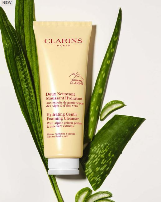 Clarins Hydrating Gentle Foaming Cleanser